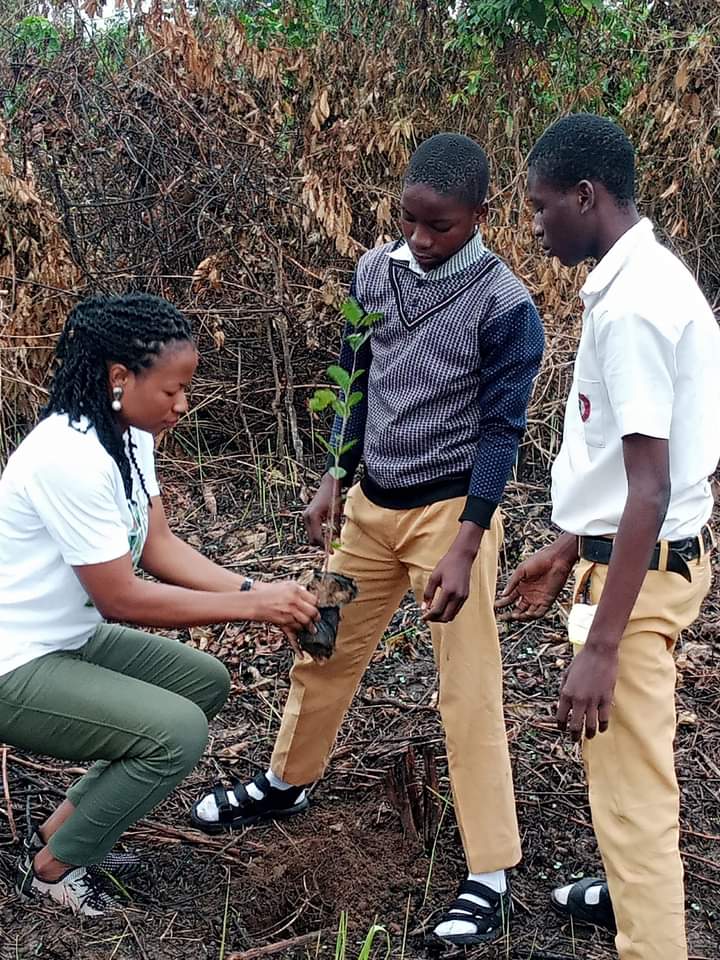 NO PLANT, NO FOOD! NO FOOD, NO NATION!